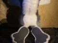 1254934903.ra-fluffsky_img_0120.jpg